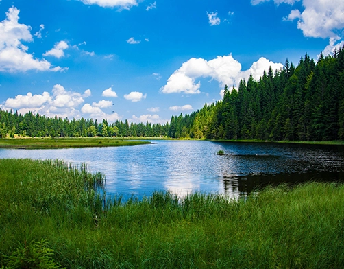 TEST BTN ACCUEIL RESA